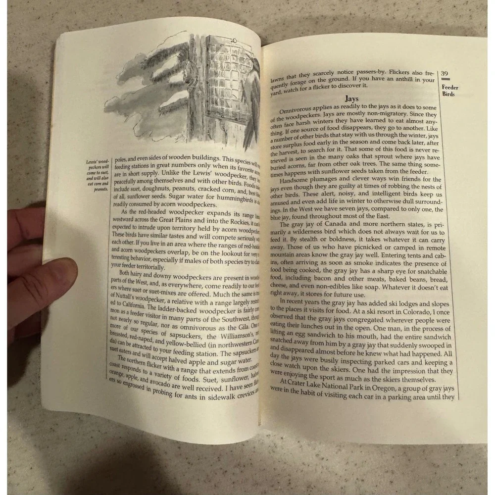 A Guide To Western Bird Feeding John V Dennis 1991 Paperback Birding Book